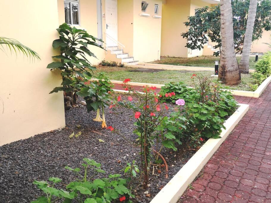 My Lil Place Unit In A Facing Complex Appartement *